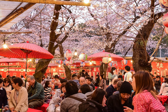 日本京都平野神社櫻花