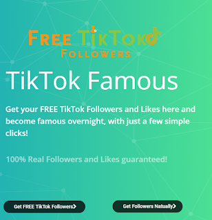 Tiktok Followers || How to Get Followers through Tiktok Followers