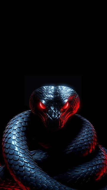 Black Snake iPhone Wallpaper 4K HD is a unique 4K ultra-high-definition wallpaper available to download in 4K resolutions. Black Snake iPhone Wallpaper 4K HD is high definition wallpaper