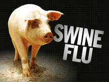 10 Best Ways to Avoid Swine Flu