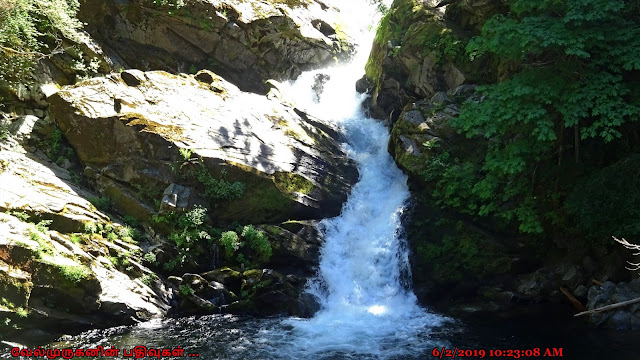 Siouxon Creek Falls Trail Washington