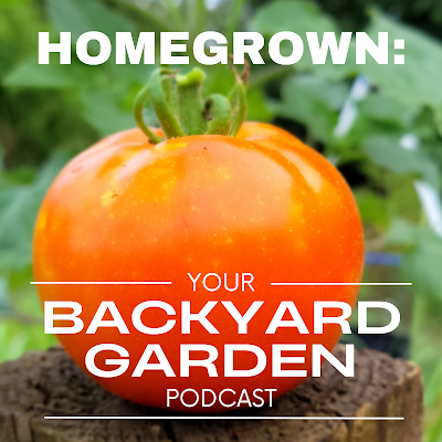 A ripe tomato on a fencepost, cover art for HOMEGROWN: Your Backyard Garden Podcast