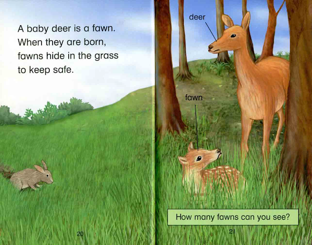 Kid Story: Baby Animals
