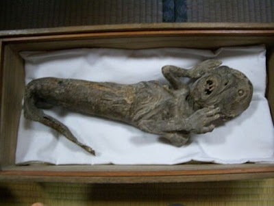 Mermaids Body  on That Are Sometimes Found In Old Buildings In The Uk