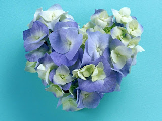 hortensias azules con forma de corazón