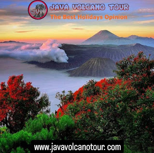 2024  Bromo and  Ijen Tour Depart from Bali