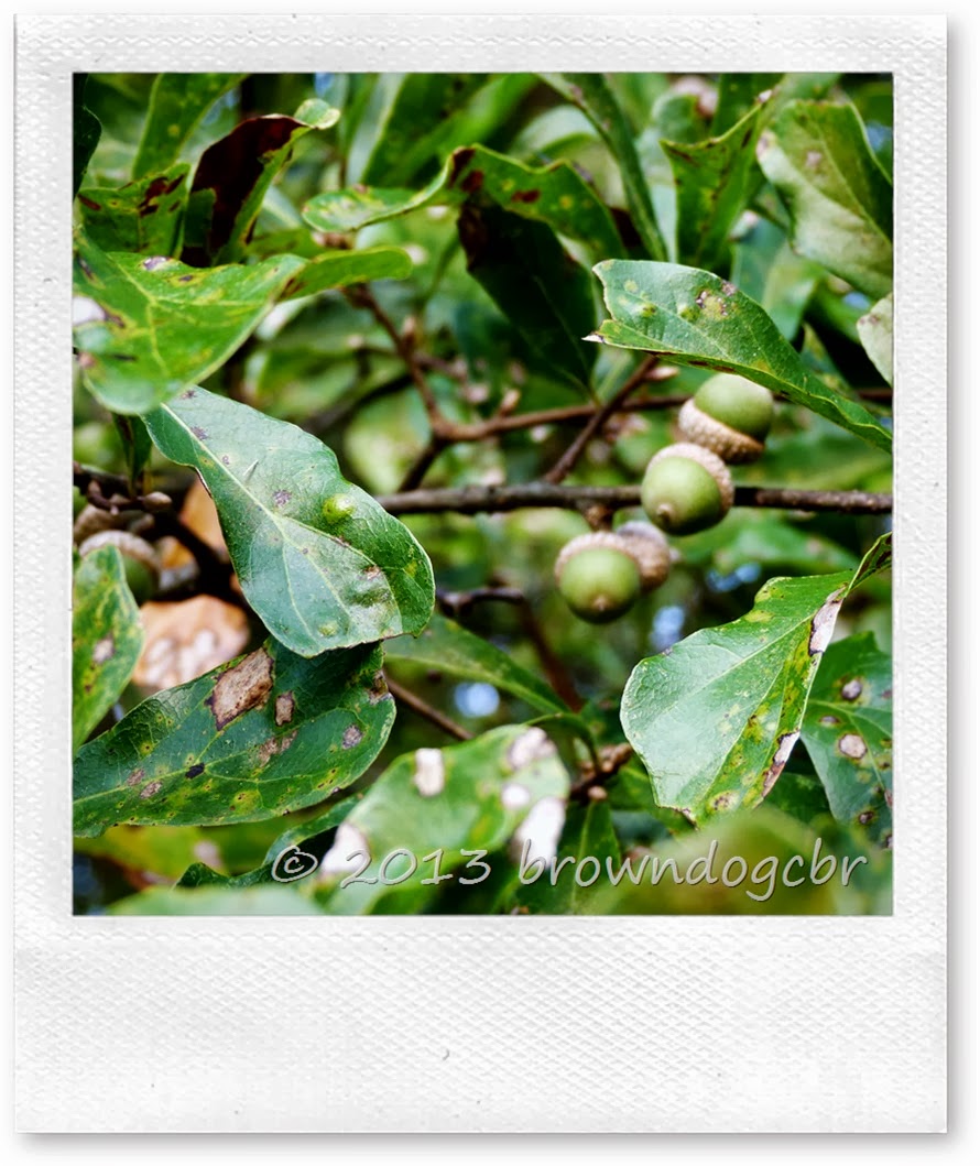 P1280947