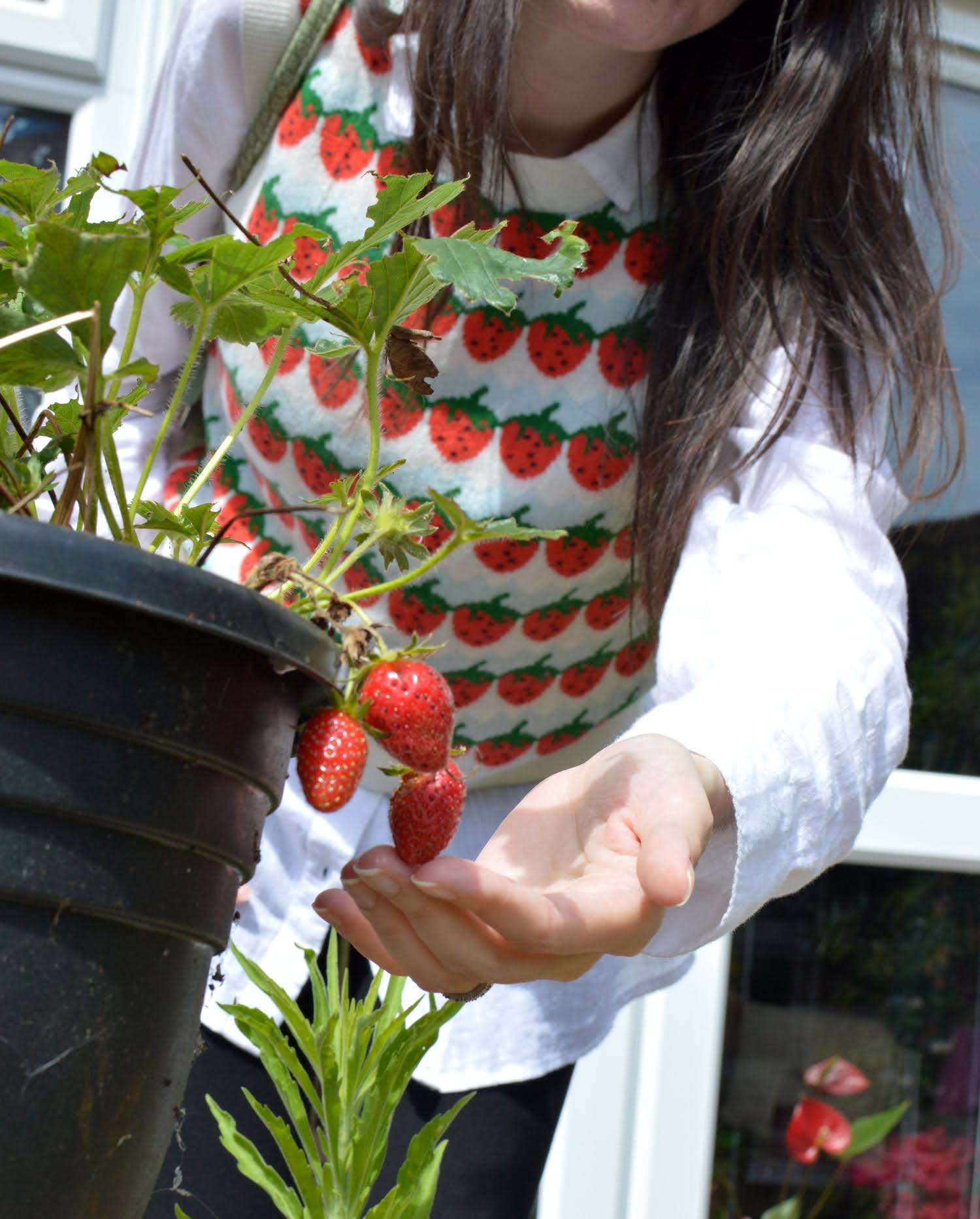 Strawberries & Snakeskin