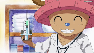 ワンピースアニメ 505話 チョッパー Tony Tony Chopper | ONE PIECE Episode 505