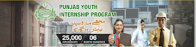 PUNJAB-youth-internship-program-2015