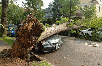 After the storm in New York