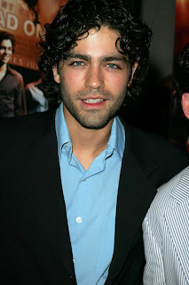 Men's Fashion Haircut Styles With Image Adrian Grenier Curly Hairstyle Picture 3