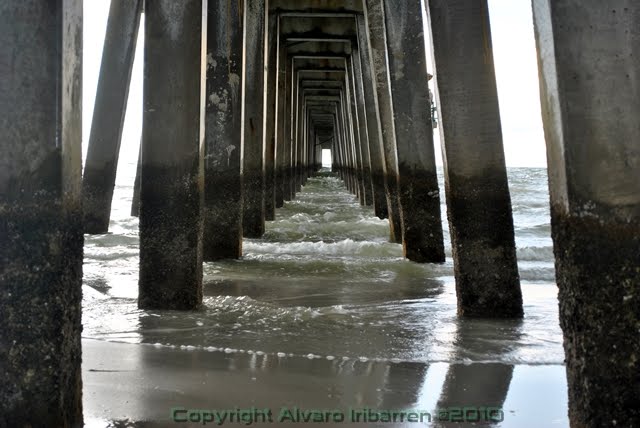 Pier. Naples Florida -