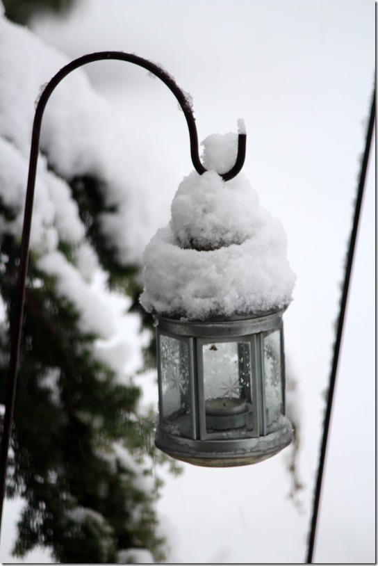 snowday