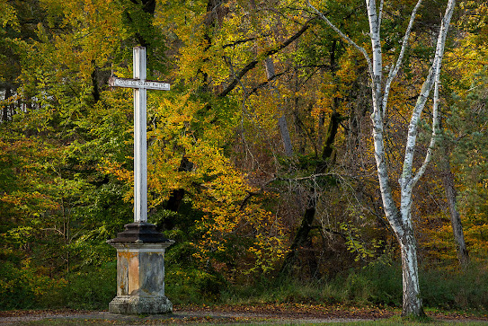 Croix du Grand Maître, forêt de Fontainebleau