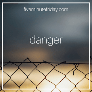 FMF Danger chain link fence