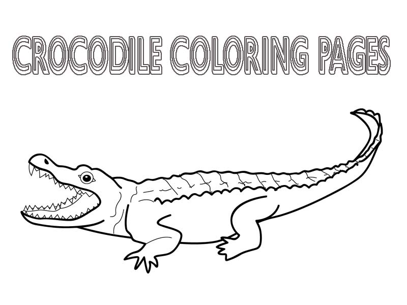Free Coloring Pages Crocodiles