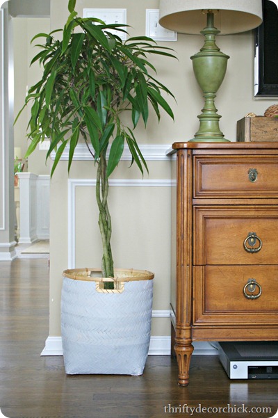 DIY ombre basket planter