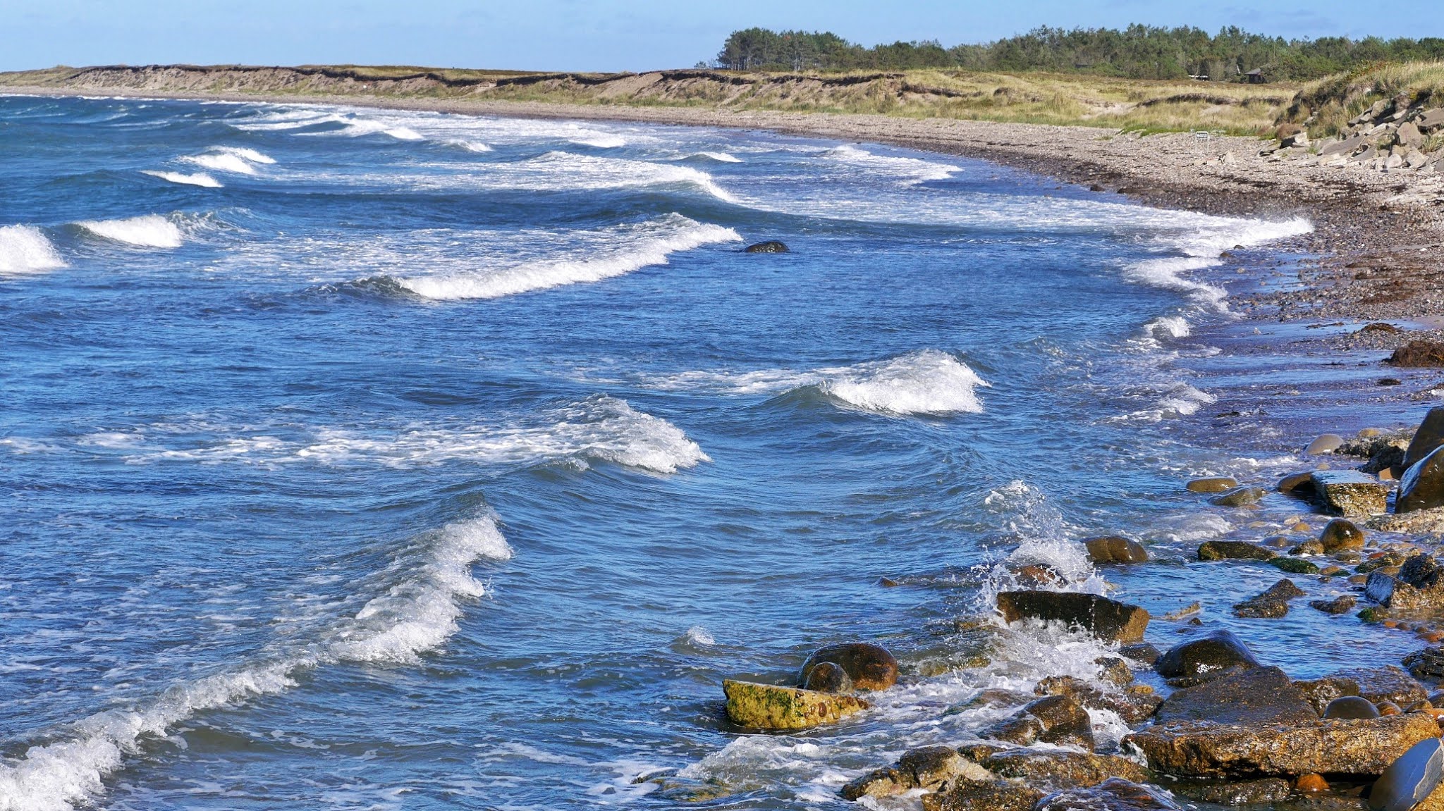 Läsö