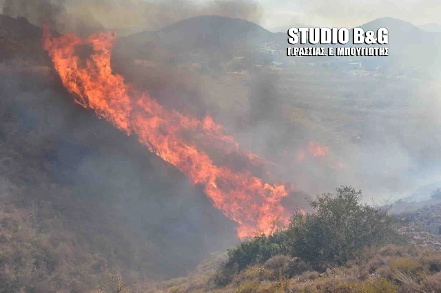 Καίγεται και πάλι η Ερμιονίδα - Φωτιά στο Πόρτο Χέλι 