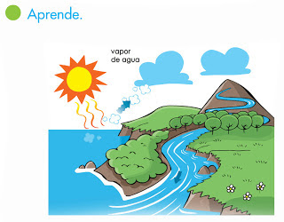 http://primerodecarlos.com/primerodecarlos.blogspot.com/marzo/CICLO_DEL_AGUA/visor.swf