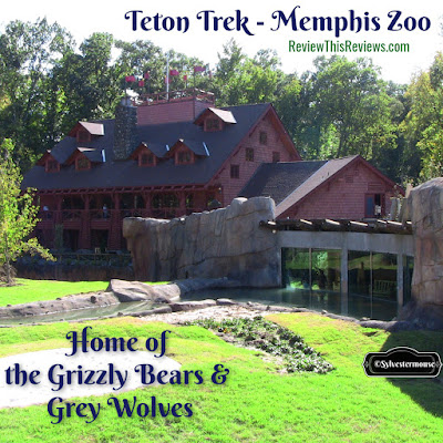 Teton Trek Lodge at the Memphis Zoo