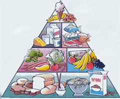 Alimentación equilibrada