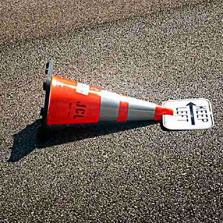 Fallen Conehead (c) David Ocker