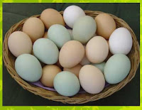eggs