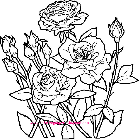 flower coloring pages