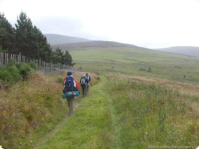 speyside way 015