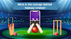 What is the concept behind fantasy cricket?