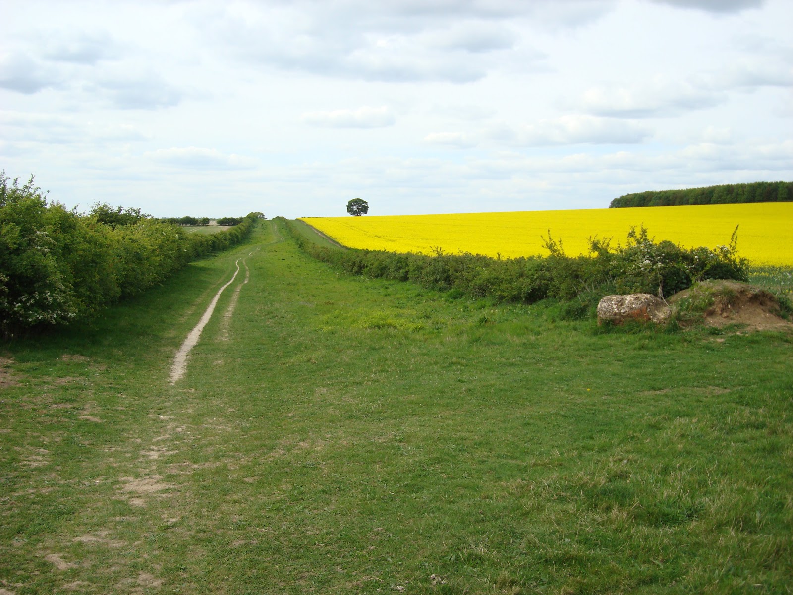 DSC07722.JPG