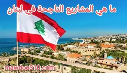 ما هي المشاريع الناجحة في لبنان