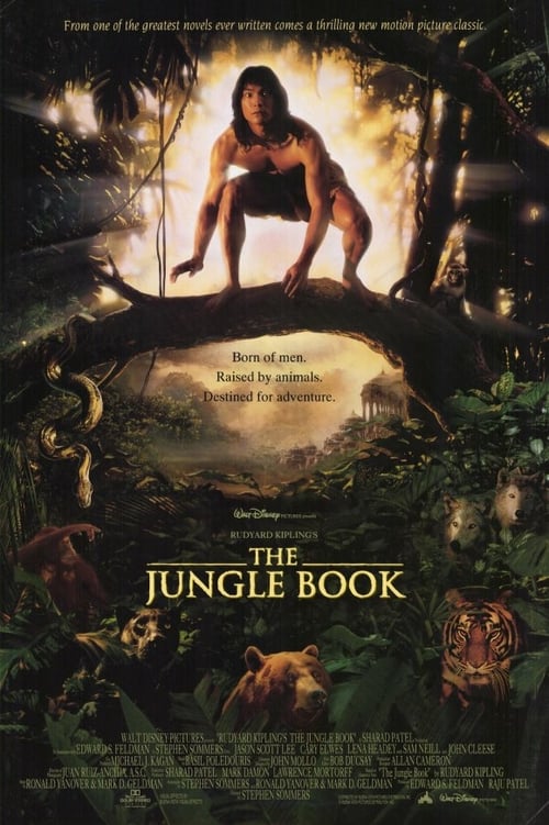 Descargar El libro de la selva: la aventura continúa 1994 Blu Ray Latino Online