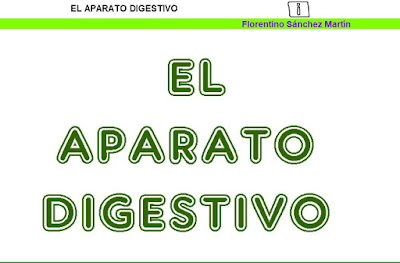http://www.ceiploreto.es/sugerencias/cplosangeles.juntaextremadura.net/web/sexto_curso/naturales_6/apa_digestivo_6/apa_digestivo_6.html