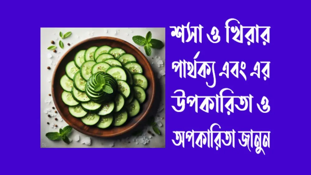 শসা ও খিরার পার্থক্য