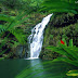 Waimea Falls Oahu Hawaii high resolution (1024 x 768 )