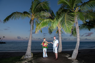Hawaii Wedding Videos