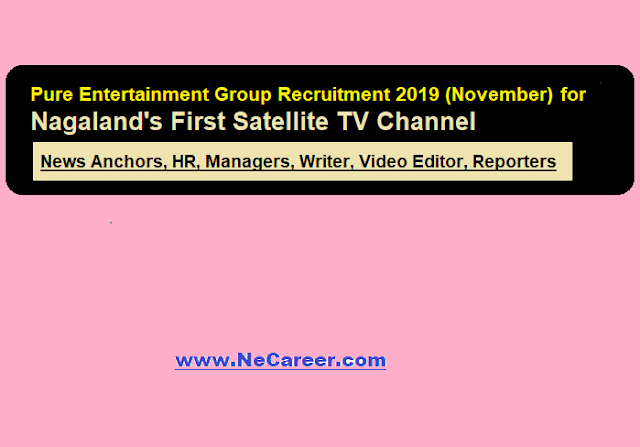 Pure Entertainment Group Recruitment 2019 (Nov) for Nagaland's First Satellite TV Channel - Various Posts