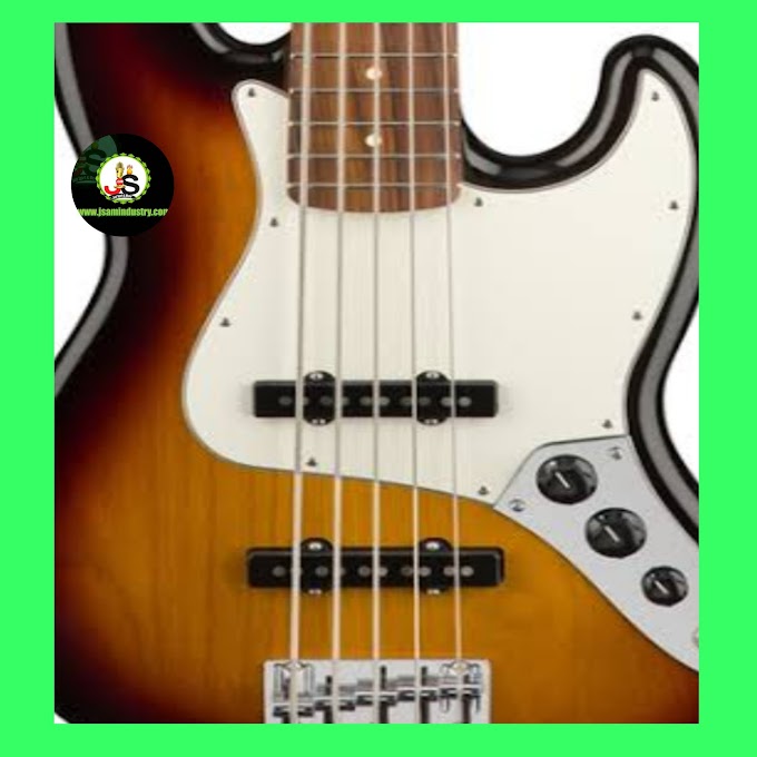 Fender 5 String Bass Guitars