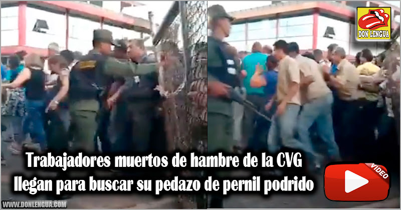 Trabajadores muertos de hambre de la CVG llegan para buscar su pedazo de pernil podrido