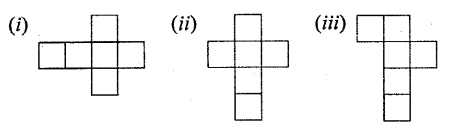 Selina Concise Mathematics Class 6 ICSE Solutions Chapter 31 Recognition of Solids