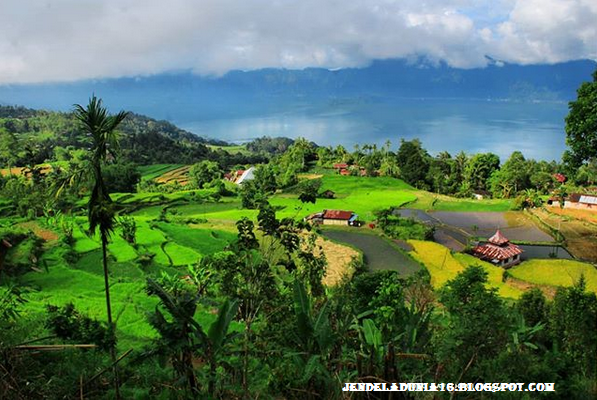 [http://FindWisata.blogspot.com] Pesona Keindahan Alam Danau Manijau Sumatera Barat