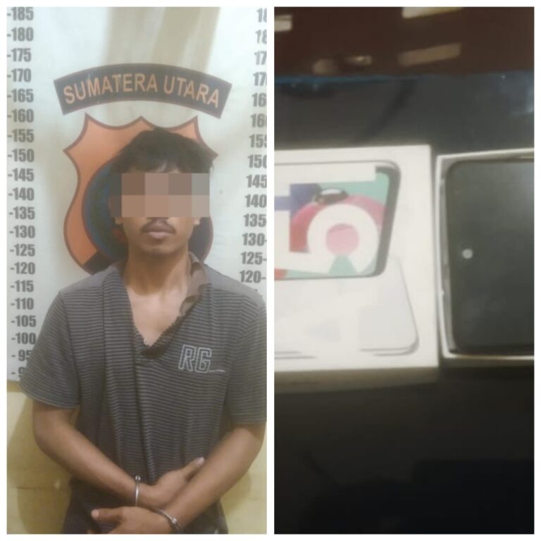 Pencuri HP Karyawan BUMN Ditangkap Polisi