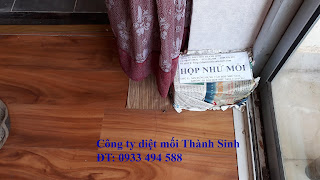 diet moi tai binh tan