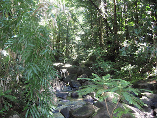 LACN - voyage - guadeloupe