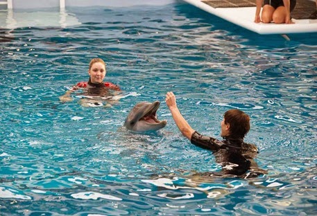 Dolphin_Tale_2_28