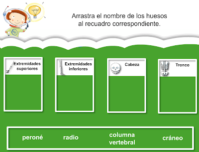 http://www.primerodecarlos.com/SEGUNDO_PRIMARIA/julio/activi_bromera/natura2/3/Natura2-U3-A3_cas.swf