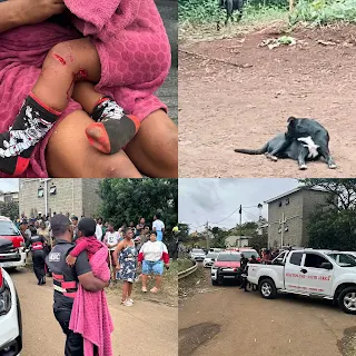 Two-year old boy mauled by three dogs at home.